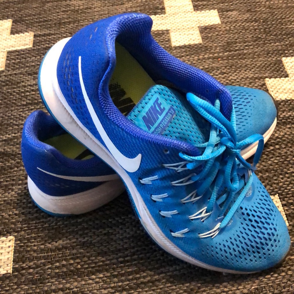 Nike Zoom Pegasus 33
